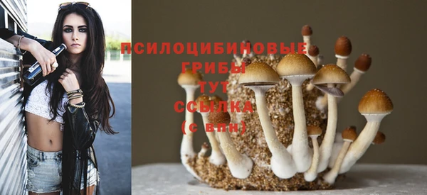 винт Нефтегорск