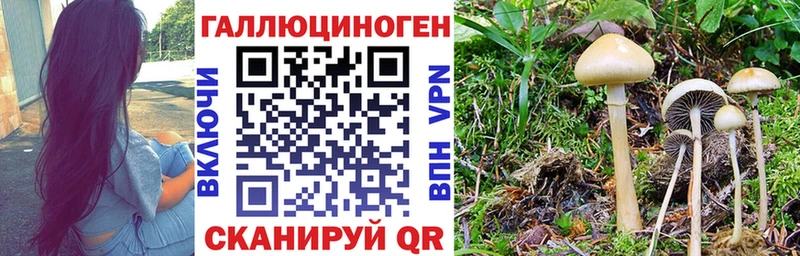 shop официальный сайт  Лакинск  Галлюциногенные грибы Psilocybe 